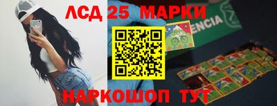 Альфа ПВП Кандалакша
