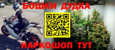ешки Камышлов