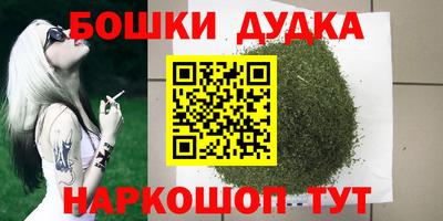 Альфа ПВП Кандалакша