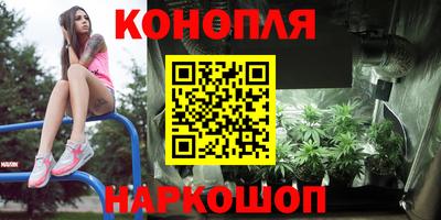 ешки Камышлов