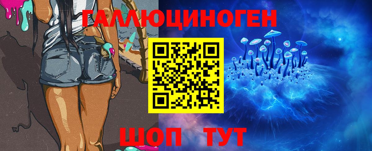 Кропоткин  Галлюциногенные грибы Cubensis  Псилоцибиновые грибы Cubensis  Вход с VPN 